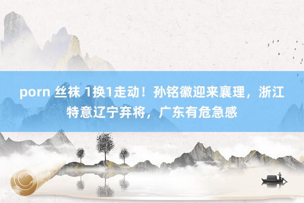 porn 丝袜 1换1走动！孙铭徽迎来襄理，浙江特意辽宁弃将，广东有危急感