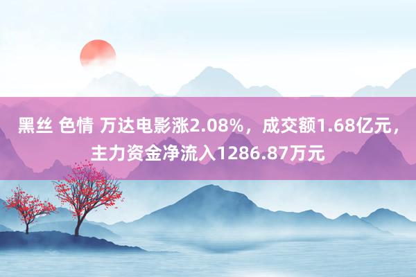 黑丝 色情 万达电影涨2.08%，成交额1.68亿元，主力资金净流入1286.87万元