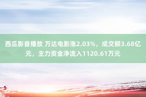 西瓜影音播放 万达电影涨2.03%，成交额3.68亿元，主力资金净流入1120.61万元