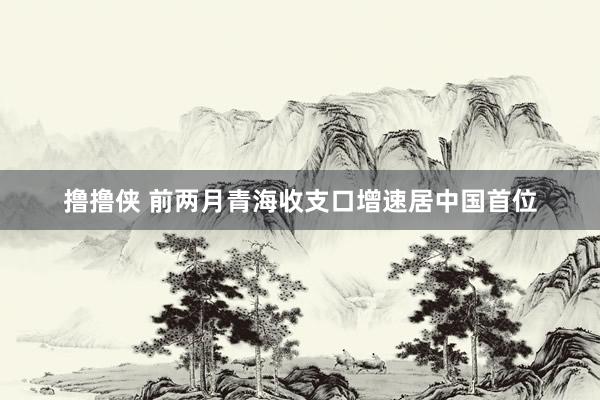 撸撸侠 前两月青海收支口增速居中国首位