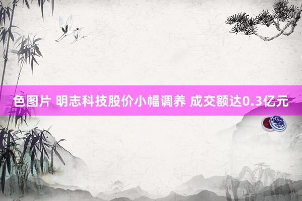 色图片 明志科技股价小幅调养 成交额达0.3亿元