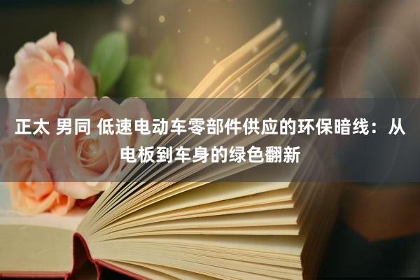 正太 男同 低速电动车零部件供应的环保暗线：从电板到车身的绿色翻新