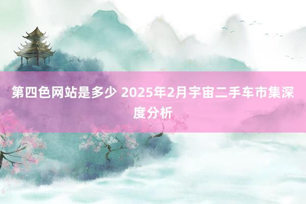 第四色网站是多少 2025年2月宇宙二手车市集深度分析