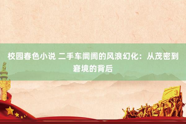 校园春色小说 二手车阛阓的风浪幻化：从茂密到窘境的背后