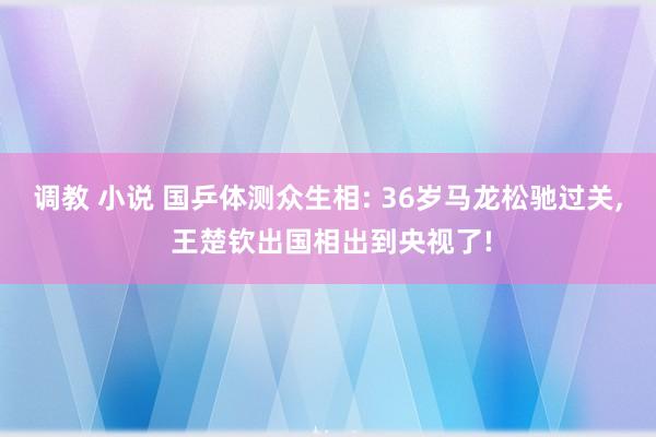 调教 小说 国乒体测众生相: 36岁马龙松驰过关， 王楚钦出国相出到央视了!