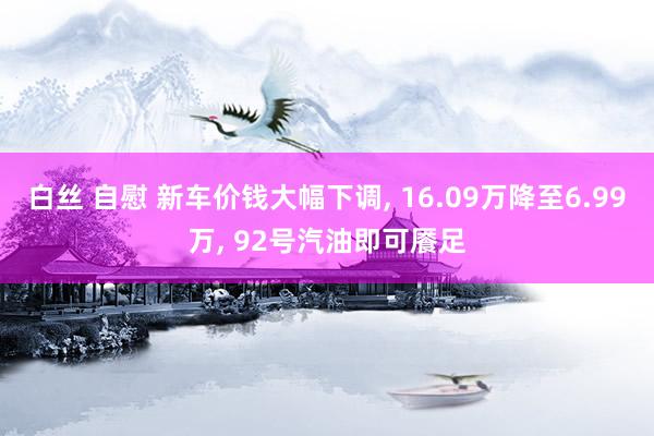 白丝 自慰 新车价钱大幅下调， 16.09万降至6.99万， 92号汽油即可餍足