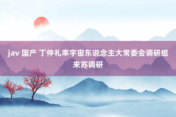 jav 国产 丁仲礼率宇宙东说念主大常委会调研组来苏调研