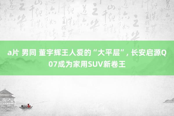 a片 男同 董宇辉王人爱的“大平层”， 长安启源Q07成为家用SUV新卷王