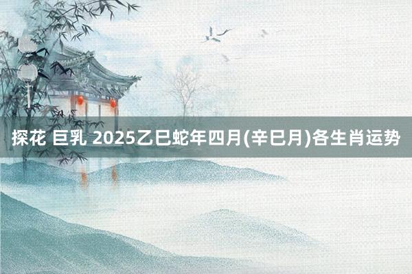 探花 巨乳 2025乙巳蛇年四月(辛巳月)各生肖运势