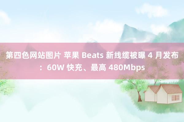 第四色网站图片 苹果 Beats 新线缆被曝 4 月发布：60W 快充、最高 480Mbps